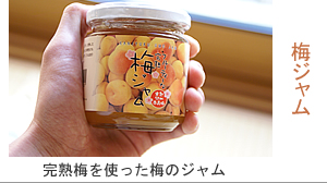 ▲紀州南高梅干通販専門店のとっても美味しい完熟梅ジャム
